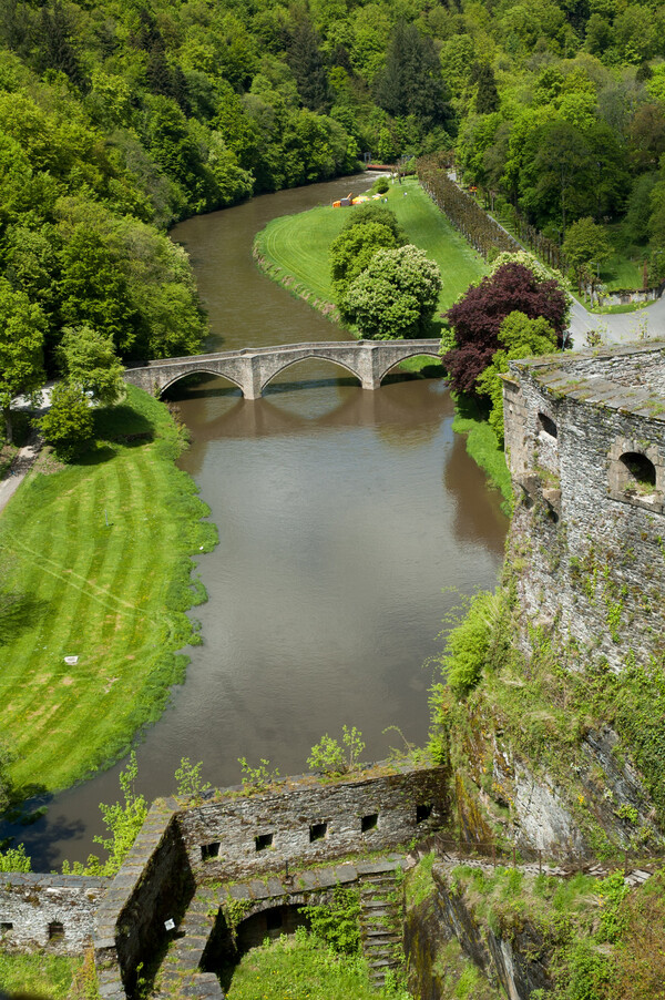 Bouillon