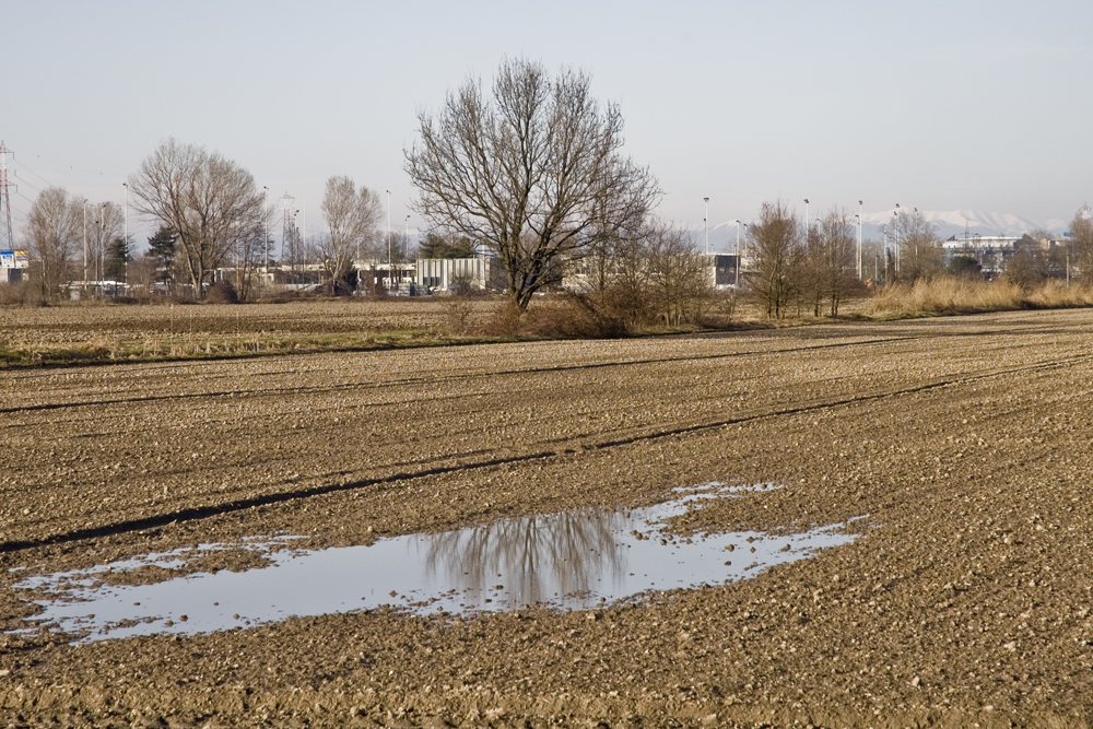 Campo con pozzanghera - Rozzano